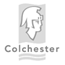 Colchester Borough Council - Case Study
